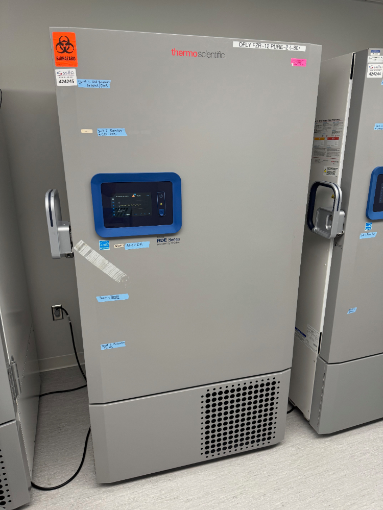 Image of Thermo RDE -80C Ultra Low Temp Freezer